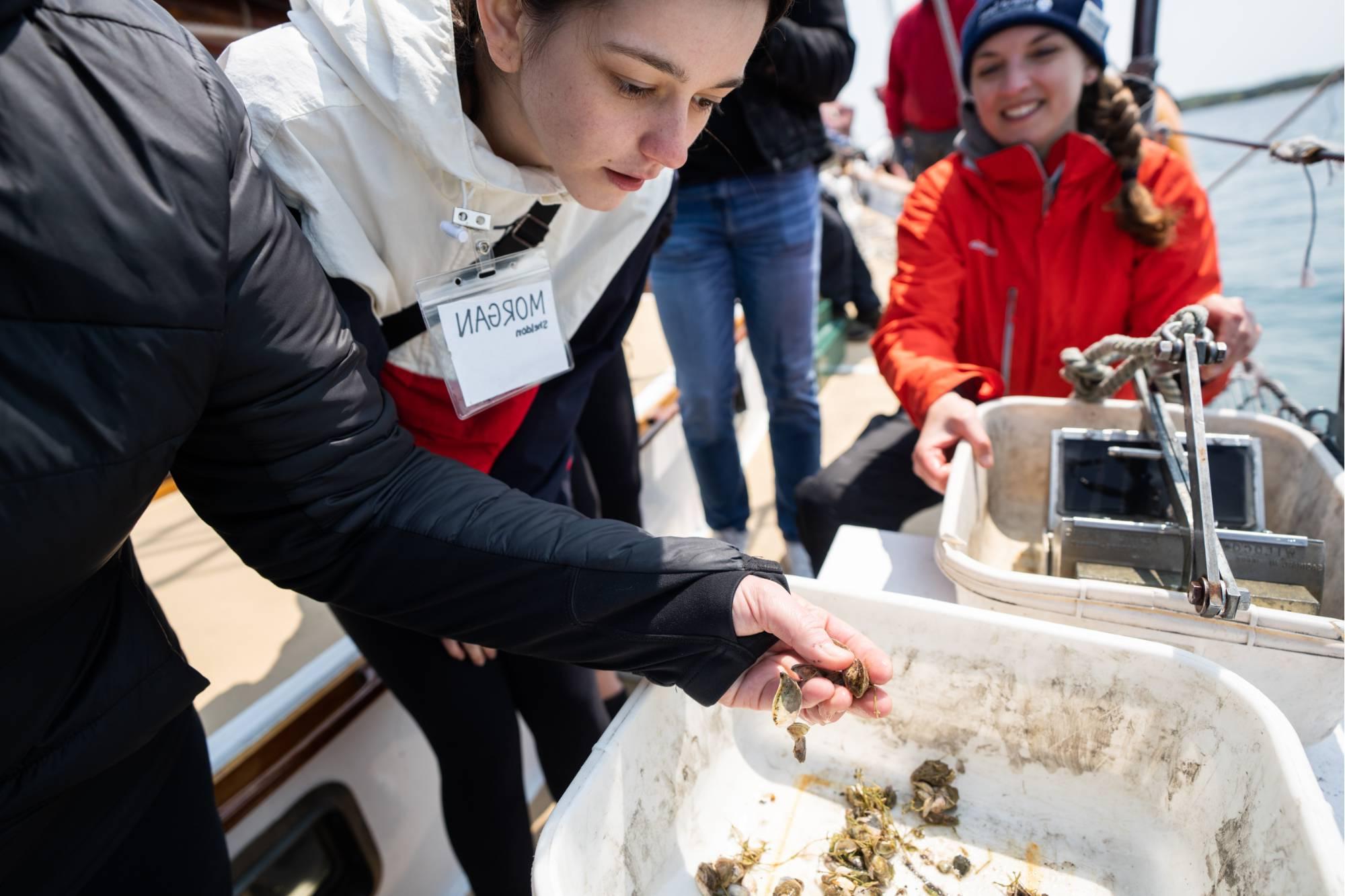 Study Invasive Species